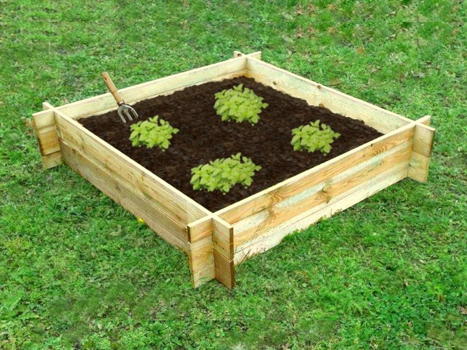 Economy Veggiebed with neatly spaced crops