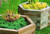 Hexagon shaped raised bed planter made out of timber