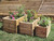 High quality timber raised garden planters