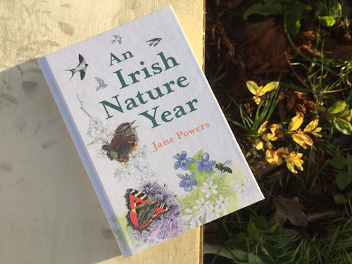 Jane powers book Irish nature year