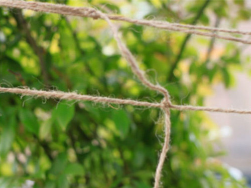 jute netting for plant support