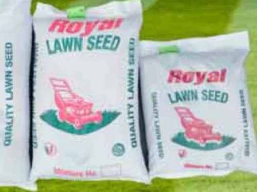 royal lawn seed