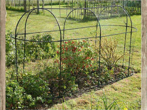 Long fruit cage for rows of fruit bushes