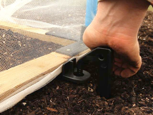 vegetable growing cloche securing system