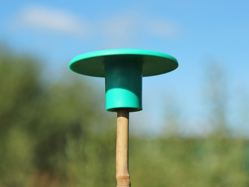 mushroom shaped bamboo cane caps