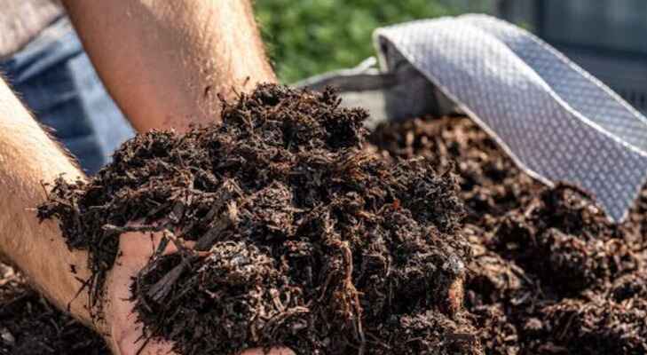 Handful of Quickcrop vegetable soil mix 