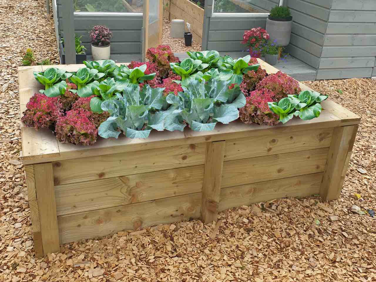Castleton timber raised bed with a finishing top Castleton timber raised bed with a finishing top