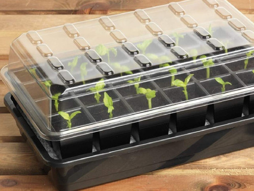Self watering kit with reservoir and cover
