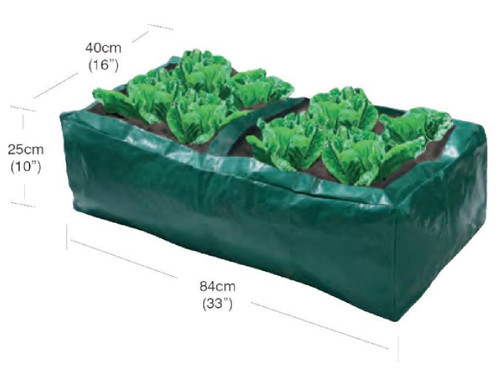 Salad growing bag for greenhouse or patio