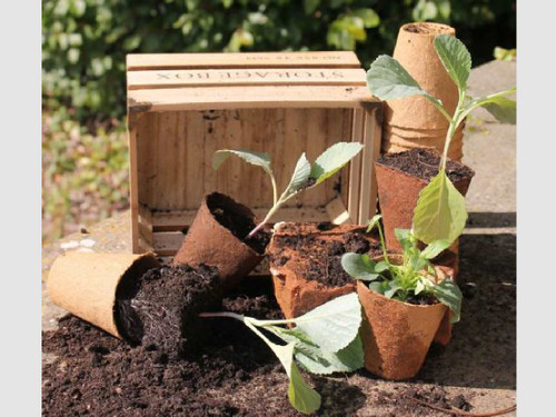 round wood fibre pots