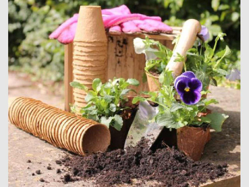 6cm wood fibre pots