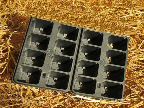 10 cell propagation trays for normset bases