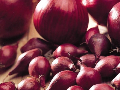 Red baron are a red onion great in salads