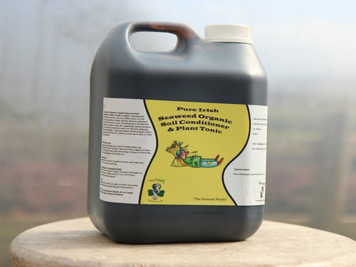 The best liquid seaweed feed and soil conditioner in garden