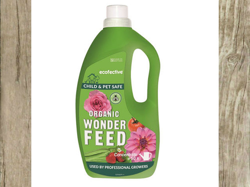 Natural and organic wonder feed concentrate
