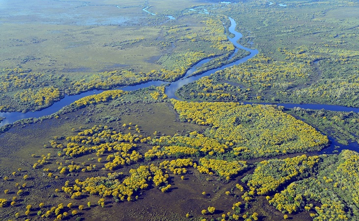 Pantanal tropical wetlands