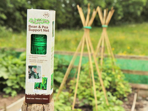 bean and pea support mesh