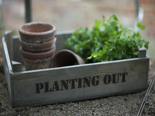Lifestyle shot of this garden tray