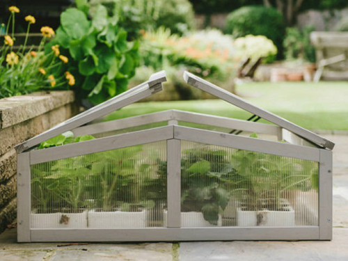 The plantpak cold frame for frost protection