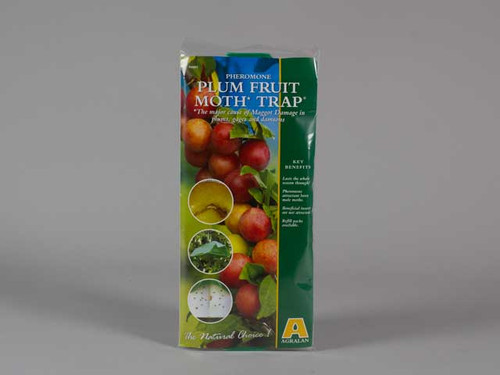 The plum fruit moth trap keeps moths off fruit bushes
