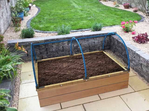 Complete Mini Polytunnel Kit With Bird Netting Cover