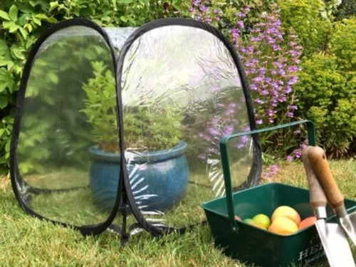 The Mini Pop Up Poly Greenhouse is perfect for for growing & protecting plants & crops such as strawberries, tomatoes, peppers and small/dwarf crops.