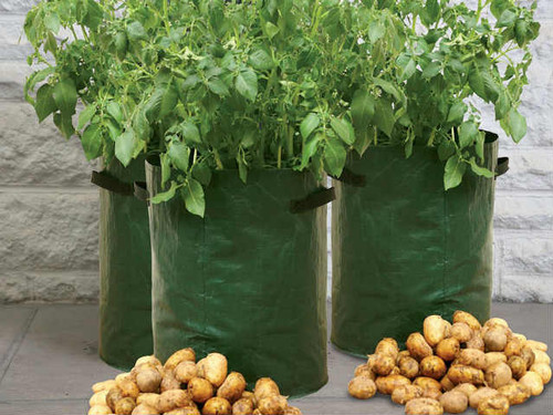 potato patio planter grow bag with handles