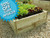 Premier 14 inch high timber raised vegetable garden bed kit