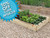 Premier 7 inch high timber raised bed vegetable planter
