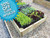 Timber raised bed vegetable garden kit