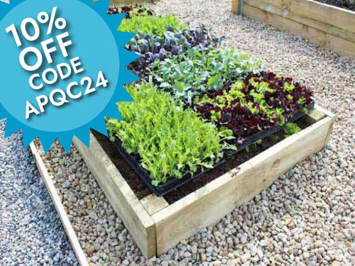 Timber raised bed vegetable garden kit