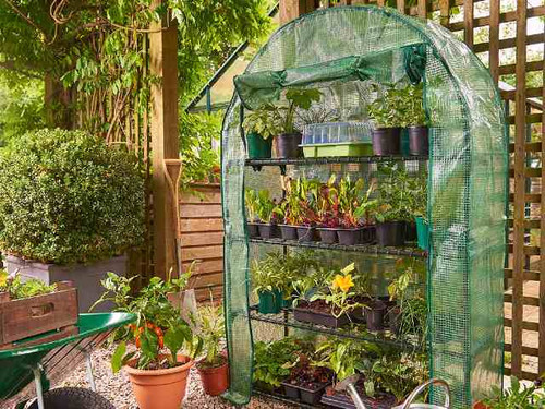 This Premium 4 Tier Extra Wide Growhouse is perfect for growing new seedlings and for protecting your plants.