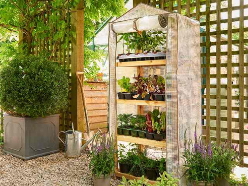 This Premium 4 Tier Wooden Growhouse is elegant and space saving.
