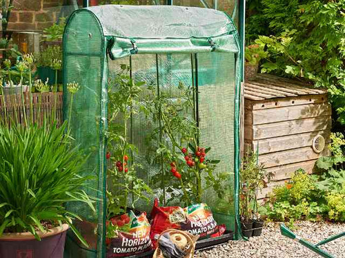 This Premium Tomato Growhouse is perfect for growing tomatoes straight from your growbag.