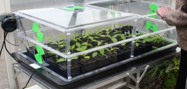 Vegetable growers pots and propagation equipment