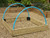 timber raised bed with crop protection hoops
