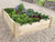 deluxe timber raised vegetable bed