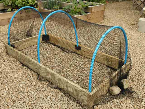 timber vegetable planter with hoops