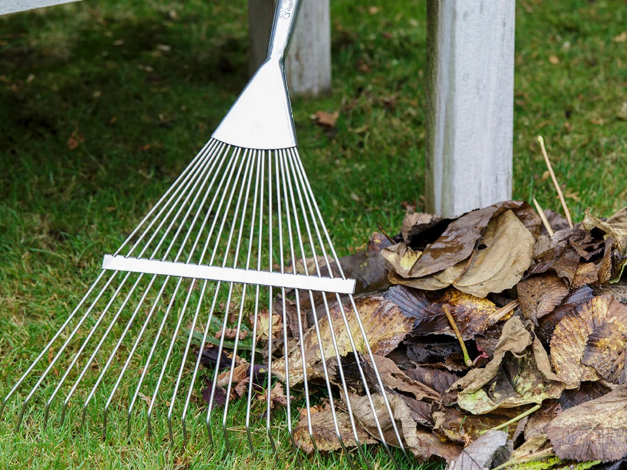 Burgon & Ball lawn & leaf rake with garden leaves