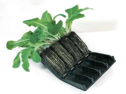 rapid rootrainer book of seedlings