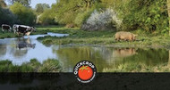 What is Rewilding?