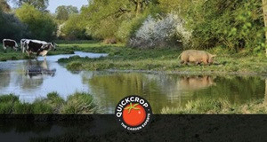What is Rewilding?