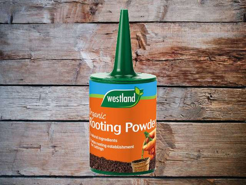 Westland Organic Rooting Powder assists in the rooting of cuttings. Made from natural ingredients, it does not contain any synthetic growth hormones or fungicides.
