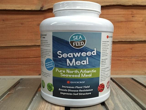 seaweed plant feed meal