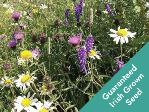 shaded areas native wildflower mix