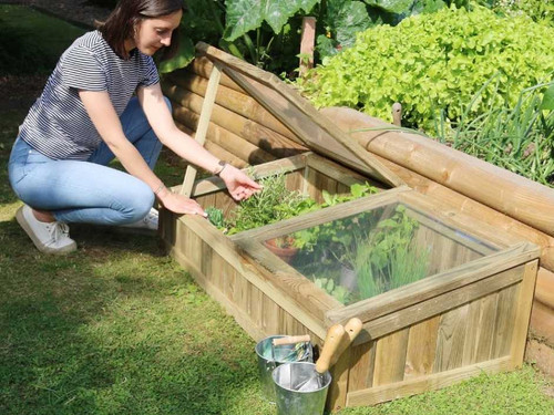 Vegetable gardeners cold frame hardening off