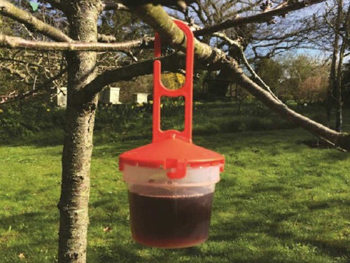 Soft fruit trap for fruit trees and bushes