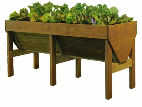 Spring vegetable plants in a vegtrug natural timber colour raised planter