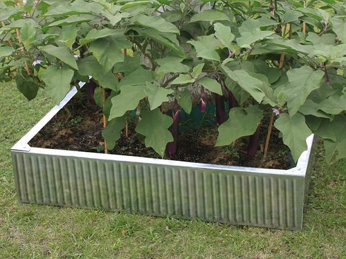 square galvanised raised bed