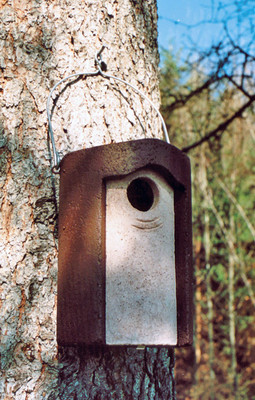 Starling Nest Box - 3S